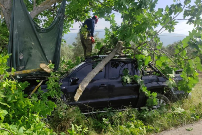 Bursa'da feci kaza: Kontrolden çıkan kamyonet ağaca çarptı