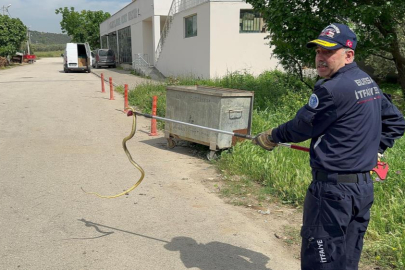 Polis arabasına giren yılanı itfaiye ekibi çıkardı