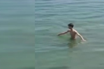 Bursa'da denize giren çocuklar ölü yunus balığı buldu