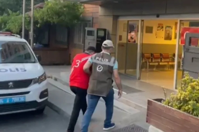 Kedi parçalayan pitbullun sahibi gözaltına alındı