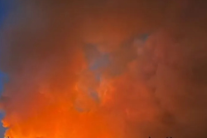 İzmir’deki orman yangınlarında 7 kişi gözaltında