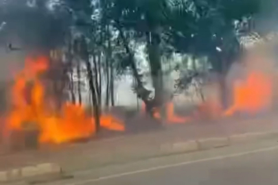 Bursa'da otluk alan alev alev yandı