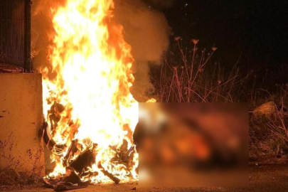 "İnsanlık ölmüş" dedirten görüntüler