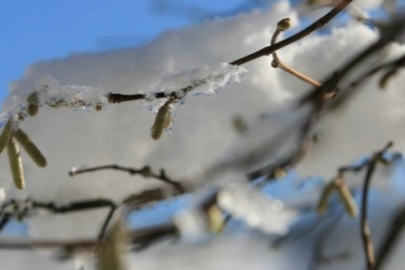 Bursa için don uyarısı