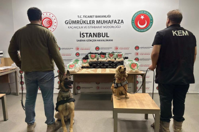 Ticaret Bakanlığı Gümrük muhafaza ekipleri zehir tacirlerine nefes aldırmıyor