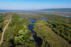 Karacabey Longozu: Türkiye'nin Saklı Cenneti