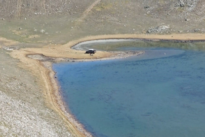 Uludağ'ın zirvesindeki göller kuruma noktasına getirdi