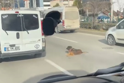 Bursa'da köpeğin keyfi trafiği kilitledi