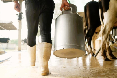 Çiğ sütte üreticinin eline 16 lira 40 kuruş geçecek