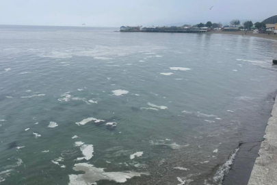 Mudanya'yı müsilaj sardı, deniz beyaz tabakayla örtüldü