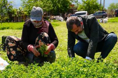 Gürsu'da ilçe tarımını dönüştürecek yeni proje
