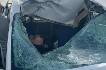 İneğe çarpan otomobilin sürücüsü hayatını kaybetti