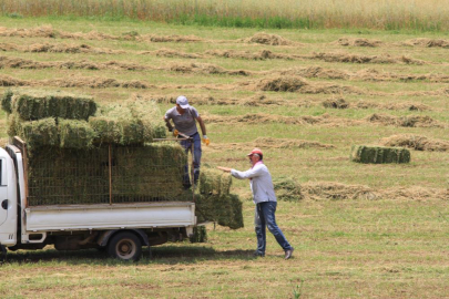 Saman fiyatları 3 ayda yüzde 18,4 yükseldi