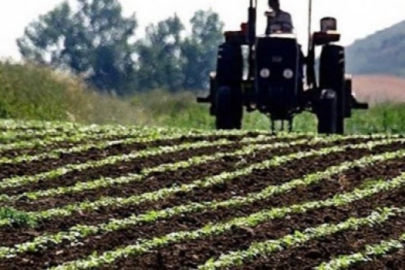 Tarım-ÜFE yıllık yüzde 31,54 arttı