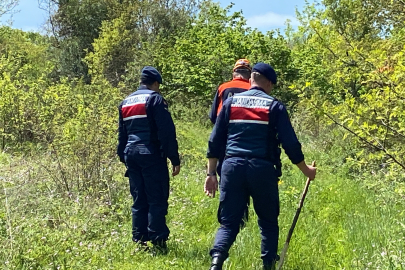 Ormana gitti, bir daha geri dönmedi: 45 gündür her yerde onu arıyorlar