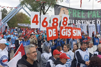 "Tavsiyeye uymanın değil, günü kurtarmanın derdindeyiz"