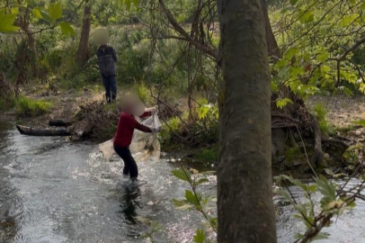 İznik Gölü'nde kaçak avcılığa jandarma operasyonu