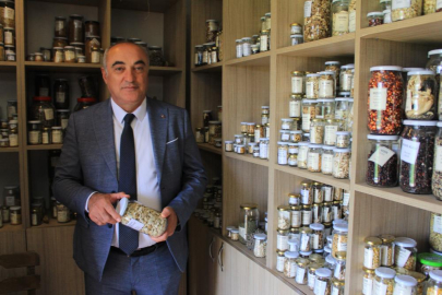 Nilüfer Belediyesinin de öncülerinden olduğu yerel tohum akımı büyüyor