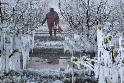 Zirai Don Meclis Araştırma Komisyonu 14 Mayıs'ta toplanıyor