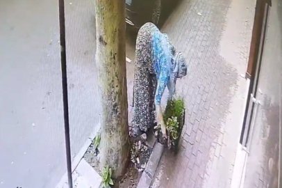 Bir kasa çiçeği böyle götürdü