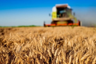 Tarım-GFE yıllık yüzde 29,73 arttı