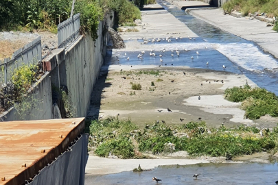 Bakanlıktan İSKİ’ye 3,3 milyonluk ceza