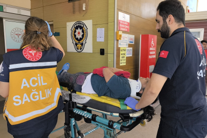 Bursa'da üzüm yaprağı toplarken çatıdan düştü