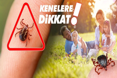 Havalar ısınmaya başladı: Uzmanlar kene ısırmasına karşı uyarıyor!