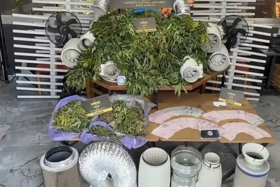 Villanın odalarını uyuşturucu tarlasına dönüştürmüş