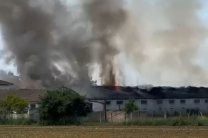 Bursa Yenişehir’de hayvan çiftliğinde büyük yangın