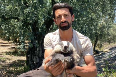 Nesli tükenme tehlikesi altında...Bursa'da ölü bulundu