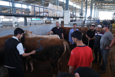 İnegöl Modern Hayvan Pazarı beşinci kez bayram sevinci yaşattı