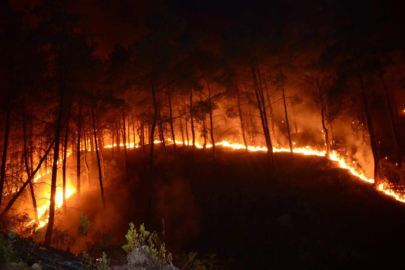 ''İklim değişikliği yangın riskini ve zararını artırdı''