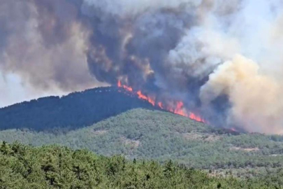 Harmancık’ta yangın yeniden büyüdü