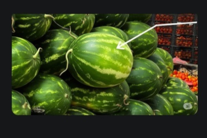 Yapay zeka pazara indi, karpuz seçimine başladı