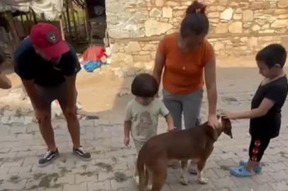 Bursa'da yangınlardan kurtarılan köpek sahibine teslim edildi