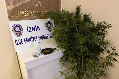 Bahçesinde hint keneviri yetiştiren kişiler tutuklandı