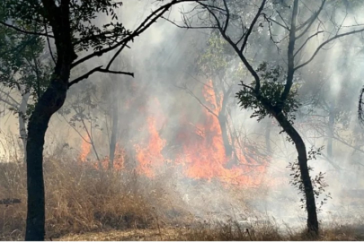 Ormanlık alanda korkutan yangın