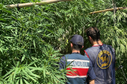 Evinin bahçesine saklamak istedi, narkotik köpeğine takıldı