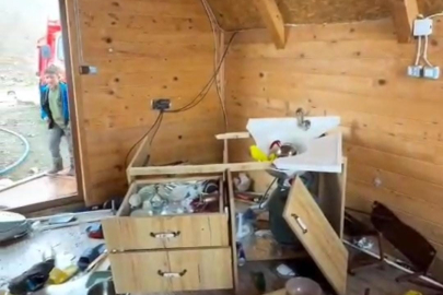 Aç kalan ayılar bungalovlara dadandı