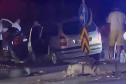 D-100'de iki otomobil kafa kafaya çarpıştı: 1'i ağır 8 yaralı