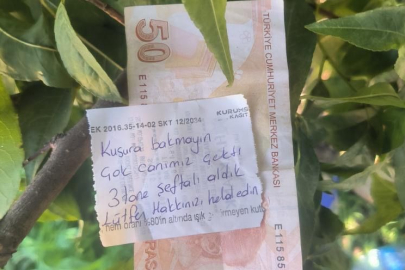 İnsanlık ölmemiş dedirten hareket