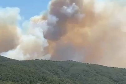 İznik'te orman yangını başladı, müdahale sürüyor