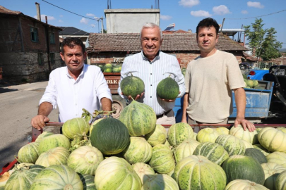 Bursa'nın ünlü Konaklı kavununda üretim iki kat arttı