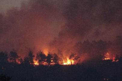 Kabus bitmiyor...İzmir, Antalya ve Çanakkale alevlere teslim!