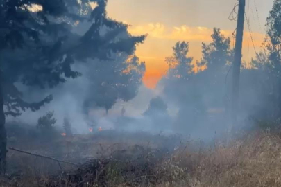 Bursa’da korkutan orman yangını