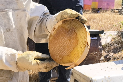Bursa'da üretilen bu bal her derde deva