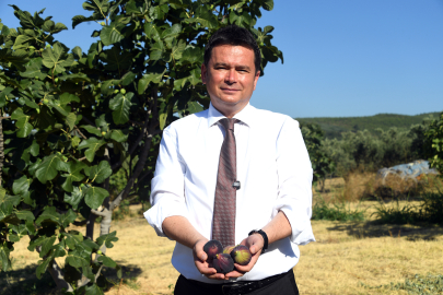 Osmangazi’den dünyaya açılan lezzet “Bursa Siyah İnciri”