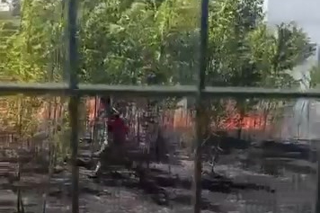 Bursa'da ziraat meslek lisesinin bahçesi alevlere teslim oldu