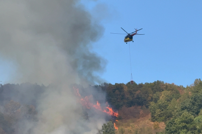 Orman yangınına helikopter ve 20 araçla müdahale sürüyor